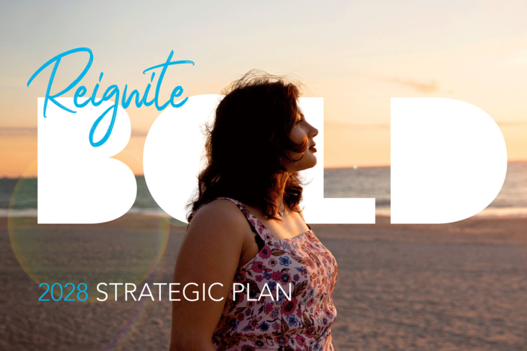 Strategic Plan